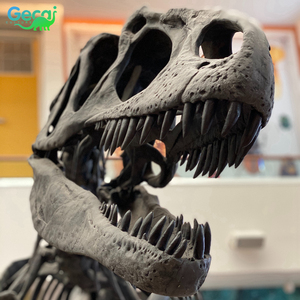 Gecai khủng long công viên khủng long hóa thạch thực T Rex Skeleton để bán - Product Image 1
