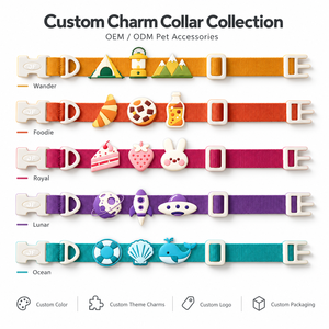 Ensemble collier et laisse pour chien personnalisé en gros, avec étiquette d'identification gravée, imperméable, réfléchissant, imprimé avec le nom, accessoires pour animaux de compagnie - Product Image 5