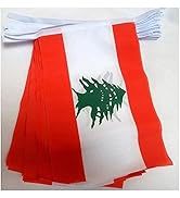 Drapeaux de sport d'extérieur en polyester 14*21cm avec logo personnalisé, mini drapeaux de Bolivie à agiter à la main, impression numérique, personnalisables - Product Image 4