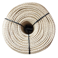 Cordon en papier torsadé imperméable (Blé/Naturel/Noir/Café) 3-6mm en bobines pour le tissage et le tricotage de chaises et de lits, compatible OEM