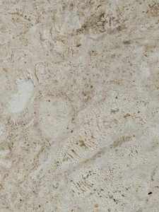 Piedra <span class=keywords><strong>de</strong></span> Coral Natural Blanca Beige, Agujeros Sin Rellenar, Color Crema Beige, Travertino, <span class=keywords><strong>Coralina</strong></span>, Losa, Azulejo, Panel <span class=keywords><strong>de</strong></span> Pared, Ladrillo - Product Image 3