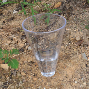 <span class=keywords><strong>Pluviomètre</strong></span> conique transparent en plastique pour jardin et extérieur, modèle météorologique HUAFU 005, tasse de mesure de pluie portable - Product Image 4