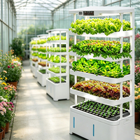 Système de jardinage vertical innovant à petit volume mais grande capacité, hydroponie intérieure pour la culture de fraises et plus encore à la maison