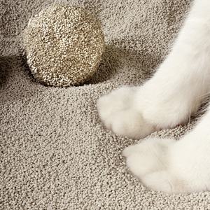 Hochwertige 10L Katzenstreu Kaffee Aroma Geruchs sperre des OEM-Herstellers Starke staubfreie Klumpen Bentonit Kugel muster spülbar - Product Image 5