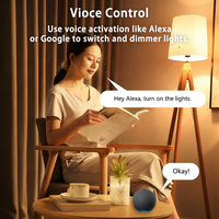 Bilihondim Matter Over Thread EU Mini Plug Dimmer 1 canal 200W sans fil contrôlé par Google Assistant faible consommation