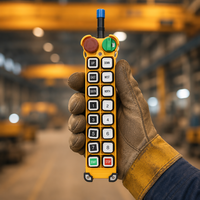 Control Remoto Inalámbrico Industrial de 14 Canales y Doble Velocidad F24-14D con Certificación CE y FCC para Polipasto Eléctrico