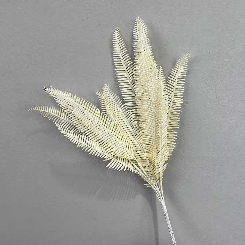rangée de fagots d'herbe blanc pur