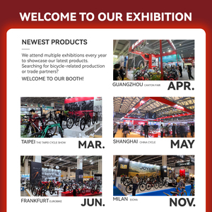 JOYKIE LAMASSU <span class=keywords><strong>28</strong></span> pollici personalizzabile Mountain Bike <span class=keywords><strong>elettrica</strong></span> 250w 36v motore doppio V freno 7 velocità telaio in lega di alluminio - Product Image 6