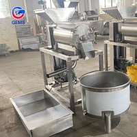 Acai Bessensap Extractor Bramensap Pulpermachine Frambozenpuree Machine Pitaya Sap Afzuigmachine