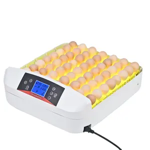 فقاسة بيض غربية مصغرة فعالة من WONEGG فقاسة أوتوماتيكية بالكامل لتخزين 56 بيضة للبيع
