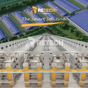 Peralatan Peternakan Ayam Petelur Kandang Ayam Bertingkat Otomatis untuk Dijual - Product Image 3