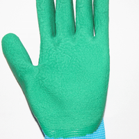 Gants de sécurité pour jeunes SUNCEND personnalisables en gros, haute qualité, 13 jauges, en polyester, avec paume enduite de mousse de latex verte et doublure bleue