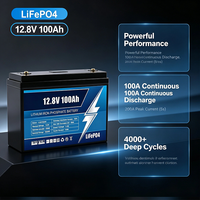 Batería de Ciclo Profundo LiFePO4 JIUYUNENG 12.8V 50Ah 100Ah 200Ah 300Ah con Bluetooth BMS, 6000 Ciclos, CE IEC62619