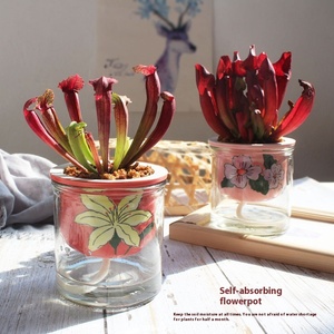 Hot-bán tự động thấm thịt hoa nồ<span class=keywords><strong>i</strong></span> tráng men gốm Máy tính để bàn màu xanh lá cây nhà máy thủy canh container - Product Image 2