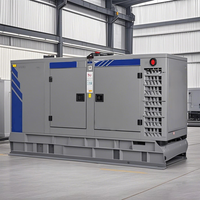 Perkinsricardocummin S Dieselgenerator 15kVA 20kVA 50kVA 100kVA 200kVA 300kVA kW