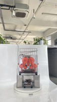 Professionele industriële fruitpers voor citroenen en sinaasappels met kernmotoronderdeel