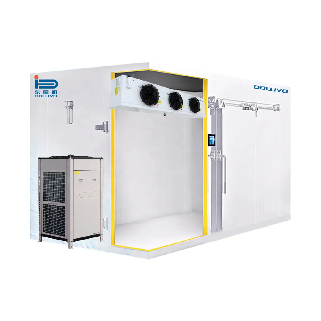 DOLUYO 6HP 8HP 10HP 10 Tons Cold Storage Room Walk in Freezer Solar Cold Room Refrigeration Unit Solar Cold Room Kits