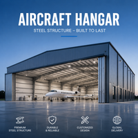 Hangar d'avion en acier PEB de haute qualité, structure en acier pour entrepôt d'avions, bâtiment en acier haute résistance