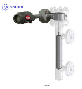 Controlador de Nivel Digital DLC3010 OEM de China para Transmisor de Nivel de Desplazamiento de Tubo de Torque - Product Image 2