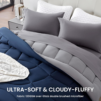 Couette réversible hypoallergénique légère et respirante en microfibre simple toutes saisons pour hôtel, taille King