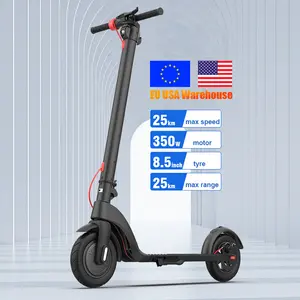 Hot Inquiry 350W motor 48V 36v 10inch 8.5 inch two Wheels e-kick scooter with Removable Battery Mini electric scooter For Adults