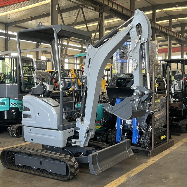 Rich Categories & Budget-friendly Price Mini Excavator and High-efficiency & Low-consumption Excavator