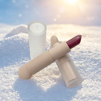 Vente en gros Maquillage végétalien longue durée imperméable à l'eau Rouge à lèvres mat de luxe Rouge à lèvres de marque privée
