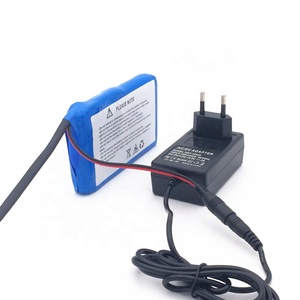 Pack de batteries Li-ion 6000mAh, petite batterie rechargeable 12v Li-ion - Product Image 5