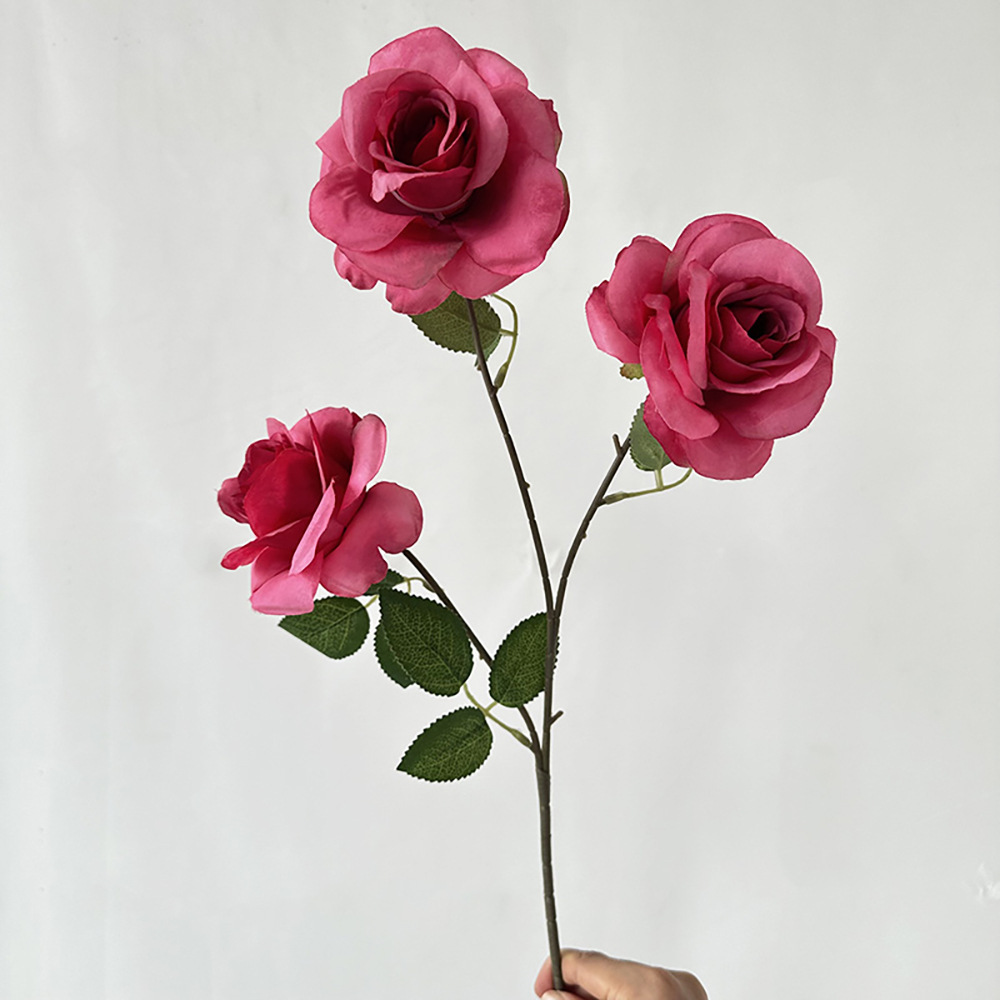 3 chevaux ivres Anna Rose Rose Rouge