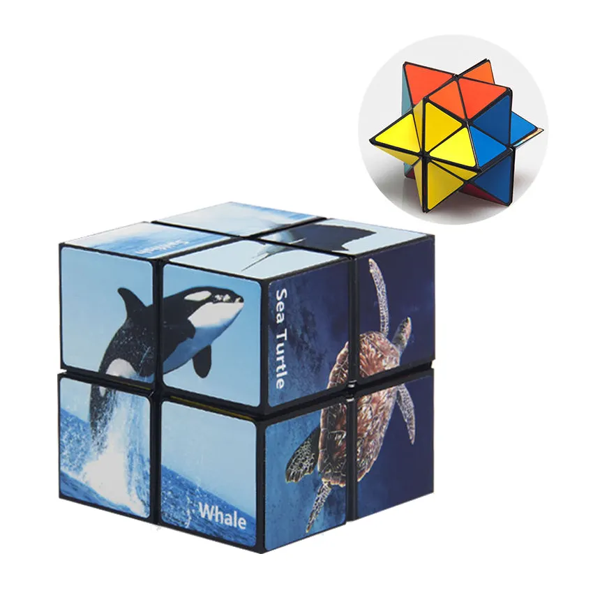 2 IN 1 Star Infinity Magic Cubes Transforming Geometric Puzzle 3D Assembly Fidget Stress Anxiety Relief Magic Cube
