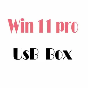 Win 11 pro box usb 100% ativação online win 11 pro box 6 meses de garantia win 11 box completo profissional usb