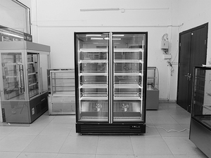<span class=keywords><strong>Frigidaire</strong></span> réfrigérateur pepsi à double porte congélateur commercial congélateur 2 portes réfrigérateur refroidi par air - Product Image 5