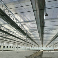 Nouvelle serre en verre de Venlo pour la plantation de fraises bleues et la culture de semences