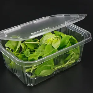 Microgreens clamshell packaging hinged box greens packaging for tender leaf salad fruit & veggies herb tray container
