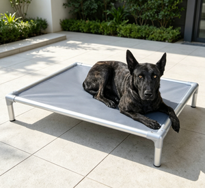 Sturdy Aluminum Frame Elevated <strong>Dog</strong> <strong>Bed</strong> <strong>Tough</strong> Nylon Mesh Fabric Chew Proof Raised Pet Cot Waterproof Indoor Outdoor <strong>Dog</strong> <strong>Bed</strong> - Product Image 1