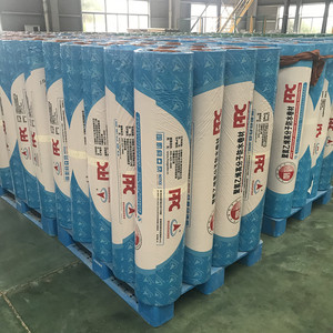 China Factory PVC Polyvinyl <b>Chloride</b> Waterproof Coiled Material Membrane for Building House Railway Tunnel - Product Image 1