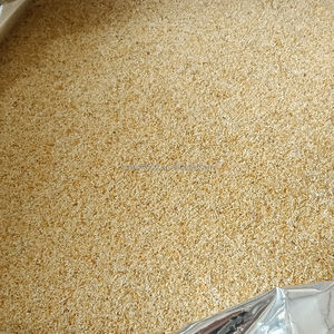 Bubuk bawang putih kering kualitas tinggi musim baru terbuat dari bubuk bawang putih kering kering dari pabrik Xuanyi - Product Image 2