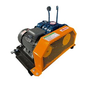 Souffleur Roots robuste 220V 380V pour l'aération des boues des stations d'épuration des eaux usées - Product Image 2