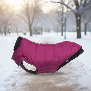 Manteau pour chien Arlay XS 27 cm couleur cerise, veste d'hiver pour animaux de compagnie - Product Image 3