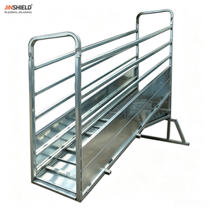 Rampe pour bétail réglable avec plusieurs positions de hauteur et broches de verrouillage - Product Image 2