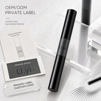 Mascara Allongeant Noir Mat en Gros, Marque Privée OEM/ODM, Fini Brillant, Prêt à la Vente au Détail, Emballage Personnalisé