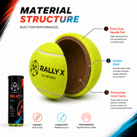 Nouvelle Arrivée - Balle de Tennis Professionnelle en Caoutchouc Haute Élasticité et Résistance, Rose, avec Logo Personnalisé, en Boîte