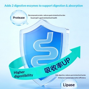 Probiotici Enzimatici in Polvere Brevettati per Cani e Gatti - Integratore per la Salute Intestinale Approvato dalla FDA per Diarrea e Stomaco Sensibile 45g - Product Image 4