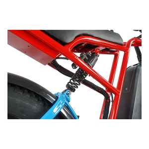 <span class=keywords><strong>Schwinn</strong></span> E-Bike para adultos jóvenes 20*4,0 pulgadas neumáticos marco Twist Shifter desviador trasero 48V Hub Motor 8-13ah batería - Product Image 6