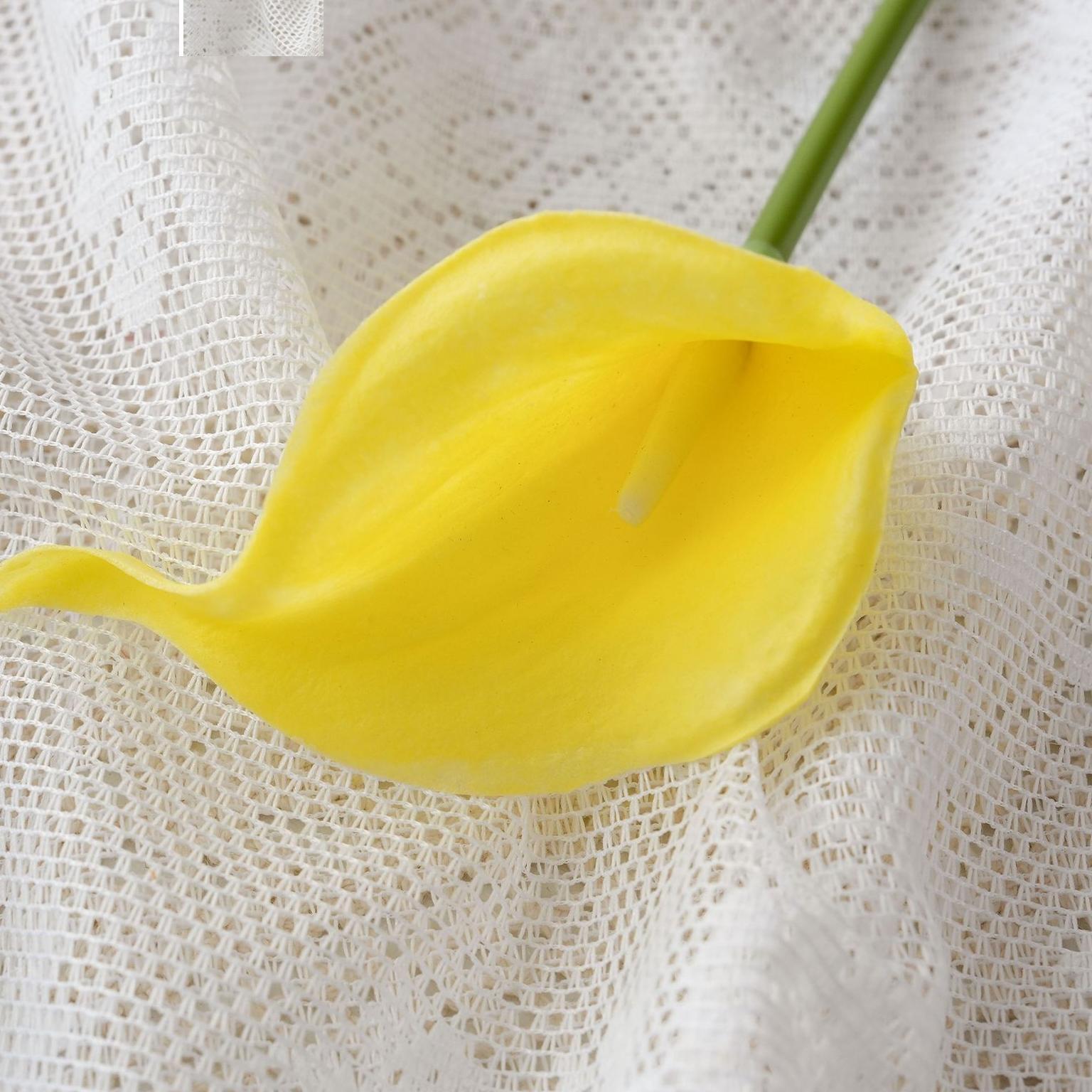 Jaune pur