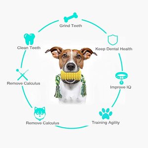 Lynpet di lusso peluche gatto giocattolo pappagallo lupo cane trattare Puzzle strumento pulito marionetta legno dente bottiglia molla leone cibo uccelli forniture - Product Image 6