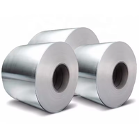 Bobina de Acero Inoxidable de Grado Alimenticio para la Fabricación de Utensilios de Cocina y Producción de Equipos Médicos