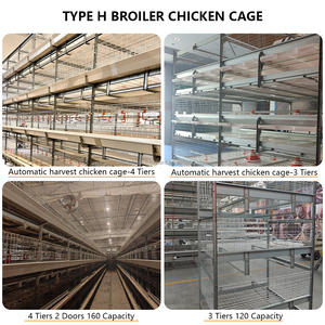 Equipo avícola de cosecha automática Tipo H Jaula para pollos de engorde de piso extraíble para 50000 pollos en Estados Unidos - Product Image 3