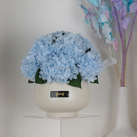 Moederdag Valentijnsdag Decoratief Cadeau Eeuwige Schoonheid Natuurlijke Verse Bloemen Ge conserveerde Hortensia in Keramische Vaas