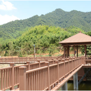 <span class=keywords><strong>Balustrade</strong></span> d'extérieur en bois et plastique Composite pour <span class=keywords><strong>terrasse</strong></span>, <span class=keywords><strong>garde</strong></span>-<span class=keywords><strong>corps</strong></span> pour balcon, <span class=keywords><strong>garde</strong></span>-<span class=keywords><strong>corps</strong></span> pour décoration extérieure - Product Image 5